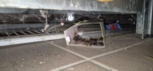 Jale în ceea ce privește controalele ANPC – Galerie foto