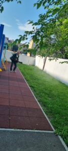 Nouă acțiune de dezinsecție împotriva căpușelor, în 26 și 27 mai