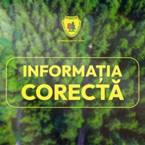 Precizări de la ROMSILVA