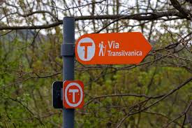 VIA TRANSILVANICA: CONTINUĂM ÎMPREUNĂ PE ”DRUMUL CARE UNEȘTE!”