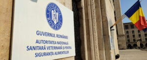Iresponsabilitate: 92 de miei transportați ilegal în județul Alba – pericol major în plină alertă epidemiologică