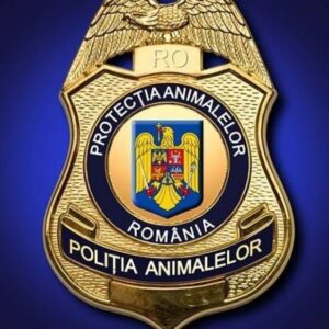 RECOMANDĂRI PRIVIND DEȚINEREA ANIMALELOR PE PERIOADA TEMPERATURILOR RIDICATE