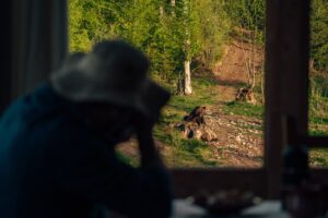 Comisia Europeană consultă cetățenii și autoritățile din România privind gestionarea populației de urși bruni
