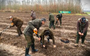 Romsilva va planta aproximativ 2,8 milioane de puieți forestieri în campania de împăduriri de toamnă