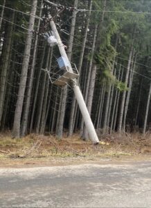 Brazi căzuți la Păltiniș
