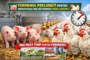 Veste excelentă pentru fermieri! Se prelungește termenul de finalizare a investițiilor pentru programele de susținere a sectoarelor suin și avicol!