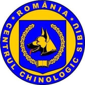 Evaluarea activității 2025 | Priorități 2026
