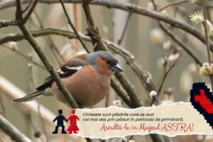 CNM Astra – “Povești cu aripi” de… Dragobete