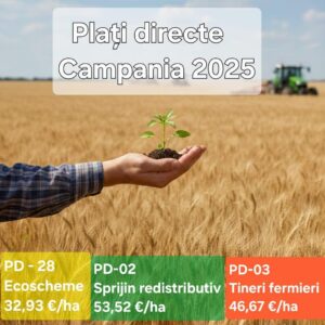 MADR – Plăți directe pentru campania 2025