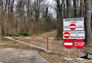 Corpul de Control a finalizat verificările privind drumul forestier din Pădurea Băneasa