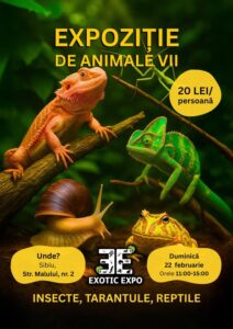 EXOTIC EXPO SIBIU – mai spectaculos ca niciodată!