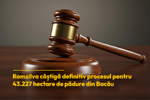 Romsilva câștigă definitiv procesul pentru 43.227 hectare de pădure din Bacău. Suprafețele rămân în proprietatea statului
