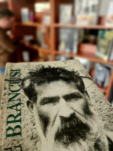 Biblioteca Astra – Insert Brâncuși