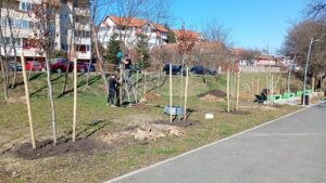 Primaria Sibiu- Creștem Sibiul  mai verde!