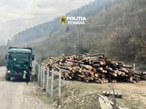 Peste 180 mc de material lemnos confiscat de către polițiștii sibieni