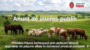 A început procedura pentru închirierea pășunilor în Comuna Păuca