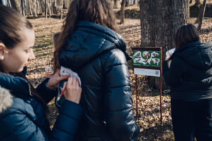 Aventura începe la Muzeul ASTRA – explorează, învață, descoperă!
