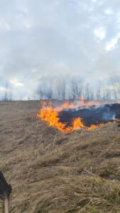 Primăria Copșa – Mică – Pompierii Voluntari Copşa Mică au participat deja la câteva incendii de vegetație (au fost şi câte 2-3 acțiuni pe zi)