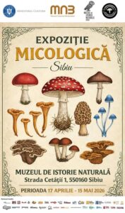 Descoperiți lumea fascinantă a ciupercilor!
