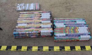 Transport ilegal de articole pirotehnice, descoperit de polițiștii de frontieră doljeni