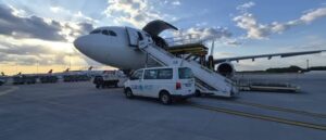 ANSVSA: în premieră, România livrează peste 4.000 de ovine în Algeria cu avioane cargo
