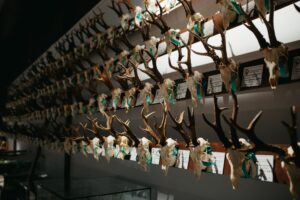 Expoziția de trofee / H – Hunting Prize, Sibiu, 2026