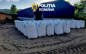 INFO IJP Sibiu