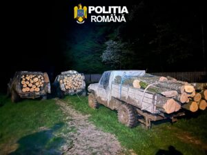Info IJP Sibiu