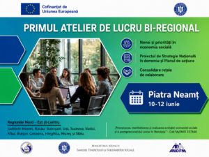 Ministerul Muncii, Familiei, Tineretului și Solidarității Sociale demarează seria de ateliere de lucru bi-regionale dedicate economiei sociale