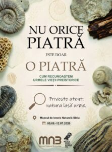 NU ORICE PIATRĂ ESTE DOAR O PIATRĂCum recunoaștem urmele vieții preistorice.
