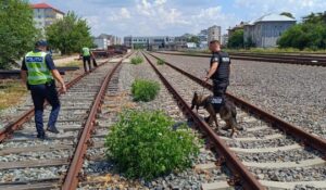 ACȚIUNE A POLIȚIȘTILOR DE LA TRANSPORTURI