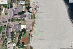 Ministerul Mediului pregătește un proiect pilot pentru crearea de perdele forestiere pe plajele din Mamaia–Năvodari