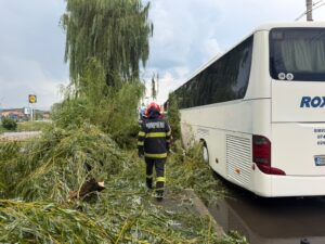 Copaci căzuți în oraș. Acțiuni ale pompierilor sibieni. Foto/Video