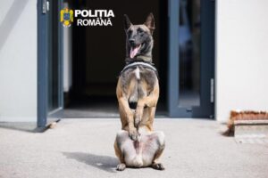 O NOUĂ ETAPĂ IMPORTANTĂ ÎN DEZVOLTAREA CAPACITĂȚILOR DE DE INVESTIGAȚIE CRIMINALISTICĂ