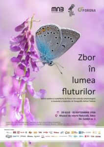 O incursiune fascinantă în lumea fluturilor vă așteaptă la Muzeul de Istorie Naturală din Sibiu!