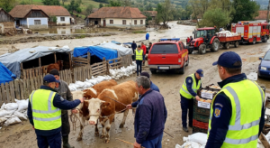 Măsuri obligatorii și recomandări ANSVSA pentru protecția animalelor și siguranța alimentelor în zonele afectate de inundații și viituri