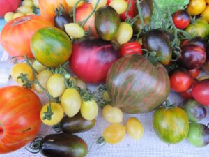 Festivalul tomatelor și al biodiversității horticole