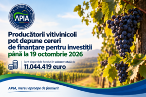 APIA: Producătorii vitivinicoli pot depune cereri de finanțare pentru investiții până la 19 octombrie 2026
