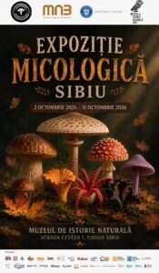 Muzeul de Istorie Naturală din Sibiu va găzdui o nouă expoziție temporară dedicată diversității fungice