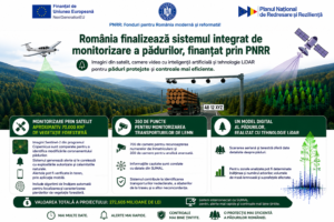 Diana Buzoianu: România finalizează sistemul integrat de monitorizare a pădurilor, finanțat prin PNRR