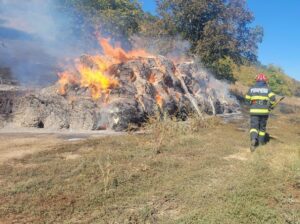 Video – Incendiu de vegetație la Șeica Mare
