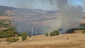 Incendiu de vegetație la Copșa – Mică