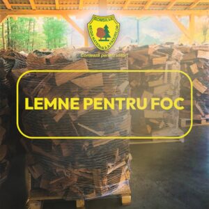 Romsilva pune la dispoziția populației aproximativ 2 milioane de metri cubi de lemn pentru foc în 2026, la prețuri similare celor de anul trecut