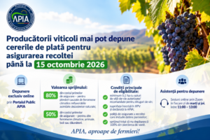 Producătorii viticoli mai pot depune cererile de plată pentru asigurarea recoltei până la 15 octombrie 2026